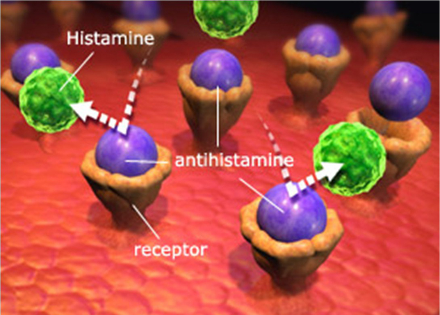 Azelastin là hoạt chất kháng Histamin (antihistamin) sẽ chiếm chỗ tại thụ thể H1 (receptor)