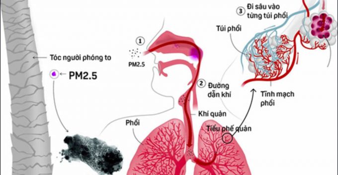 Báo động tình trạng ô nhiễm không khí tại Việt Nam