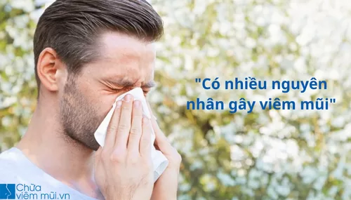 Có nhiều nguyên nhân dẫn đến bệnh viêm mũi