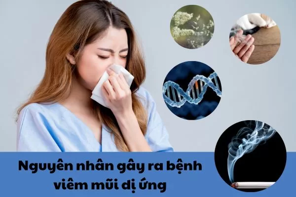 Nguyên nhân gây bệnh viêm mũi dị ứng