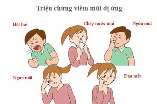 Triệu chứng bệnh viêm mũi dị ứng