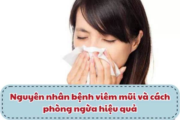 Nguyên nhân bệnh viêm mũi và cách phòng ngừa hiệu quả