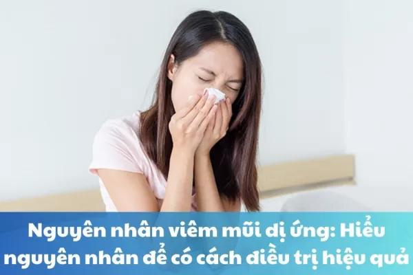 Nguyên nhân viêm mũi dị ứng thường gặp và cách điều trị