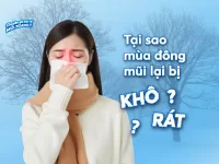 Làm gì để khắc phục tình trạng khô mũi khi vào đông?