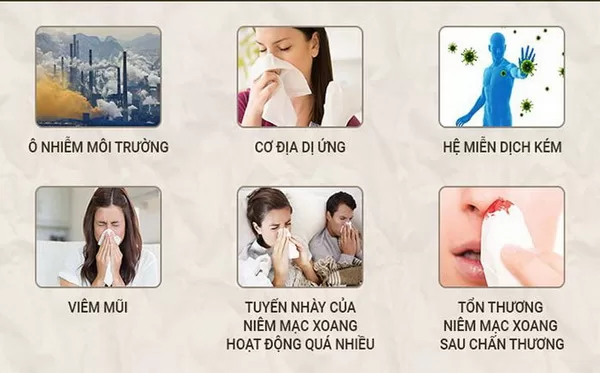 Nguyên nhân và cách điều trị bệnh viêm mũi dị ứng thời tiết Nguyên nhân thường gặp gây ra viêm mũi dị ứng