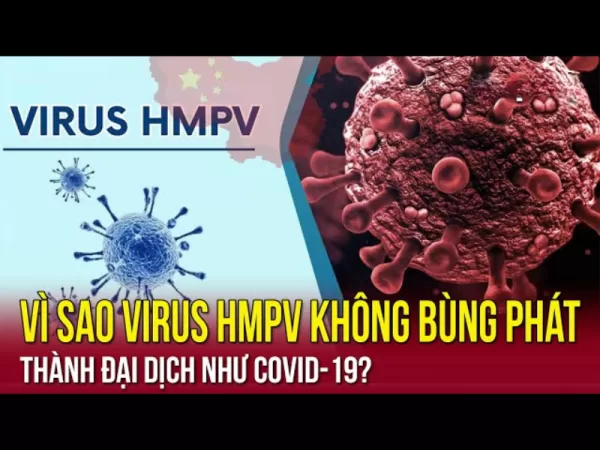 Virus hMPV không có nguy cơ bùng phát như dịch covid 19