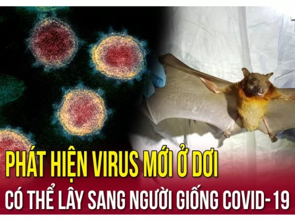 Phát hiện virus mới tương tự covid-19