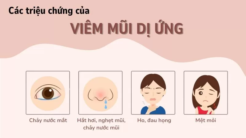 Dấu hiệu của bệnh viêm mũi dị ứng