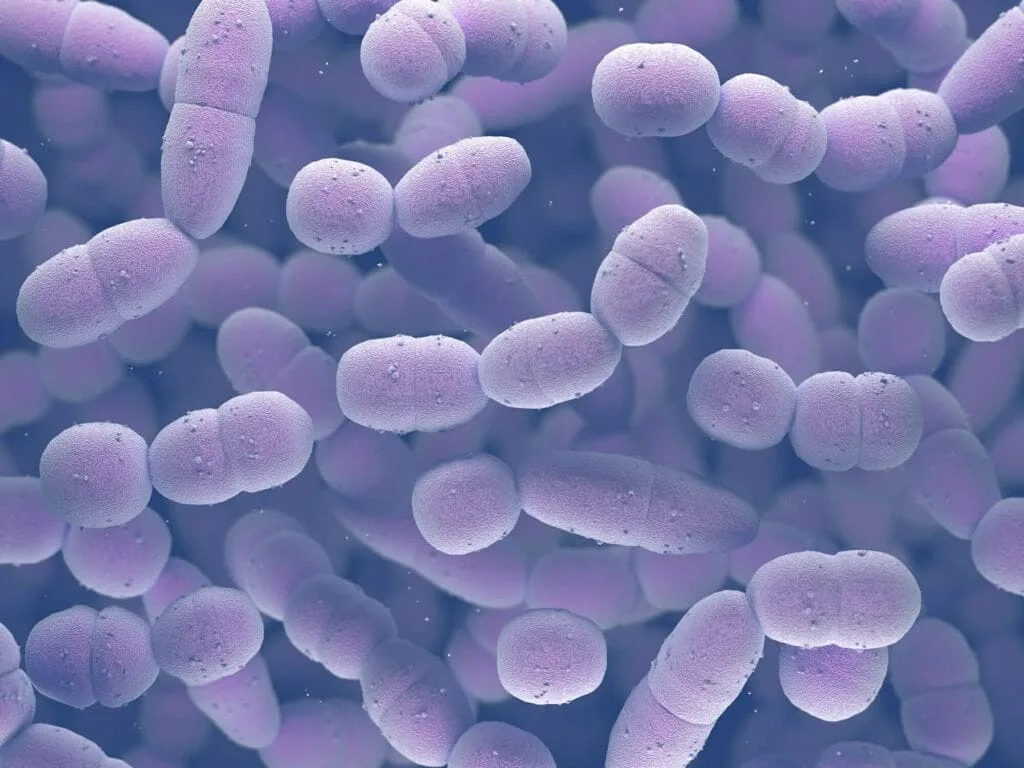 Hiểu rõ nguyên nhân của bệnh viêm xoang cấp để điều trị dứt điểm, tránh tái phát Nhiều trường hợp viêm xoang do nhiễm khuẩn